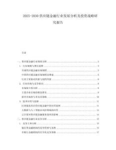 2025-2030供應鏈金融行業發展分析及投資戰略研究報告