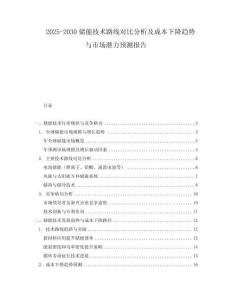 2025-2030儲能技術路線對比分析及成本下降趨勢與市場潛力預測報告