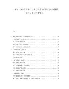 2025-2030中國銀行業(yè)電子化市場現(xiàn)狀技術(shù)分析投資評估規(guī)劃研究報告