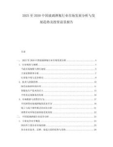 2025至2030中國玻璃酒瓶行業市場發展分析與發展趨勢及投資前景報告