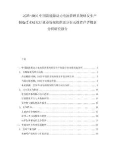2025-2030中國新能源動力電池管理系統研發生產制造技術研發行業市場現狀供需分析及投資評估規劃分析研究報告