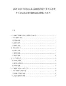 2025-2030中國銀行業金融機構投資行業市場深度調研及發展趨勢和投資前景預測研究報告