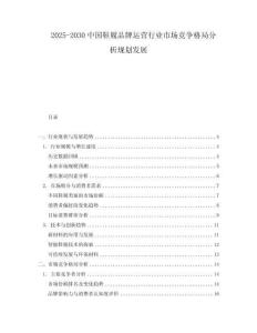 2025-2030中國鞋履品牌運營行業市場競爭格局分析規劃發展