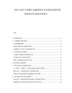 2025-2030中國銀行金融機構行業市場需求供給現狀投資評估規劃分析報告