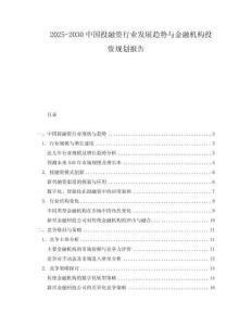 2025-2030中國投融資行業發展趨勢與金融機構投資規劃報告