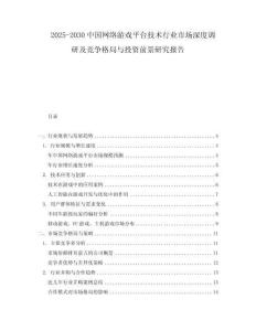 2025-2030中國(guó)網(wǎng)絡(luò)游戲平臺(tái)技術(shù)行業(yè)市場(chǎng)深度調(diào)研及競(jìng)爭(zhēng)格局與投資前景研究報(bào)告