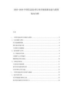 2025-2030中國信息技術行業市場創新動態與投資取向分析