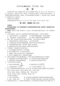 四川省瀘州市2024-2025學年高一下學期期末統一考試 化學試卷