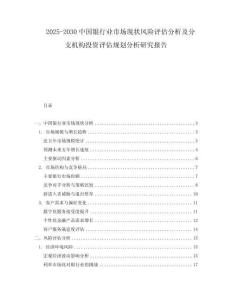 2025-2030中國(guó)銀行業(yè)市場(chǎng)現(xiàn)狀風(fēng)險(xiǎn)評(píng)估分析及分支機(jī)構(gòu)投資評(píng)估規(guī)劃分析研究報(bào)告