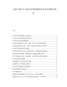 2025-2030無人機行業發展瓶頸及未來市場潛力研究