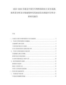 2025-2030全球及中國汽車塑料保險杠行業市場現狀供需分析及市場深度研究發展前景及規劃可行性分析研究報告