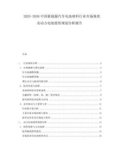 2025-2030中國(guó)新能源汽車電池材料行業(yè)市場(chǎng)現(xiàn)狀及動(dòng)力電池投資規(guī)劃分析報(bào)告