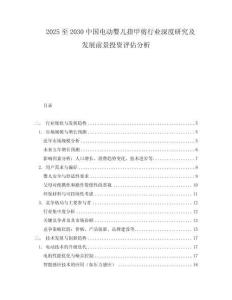 2025至2030中國(guó)電動(dòng)?jì)雰褐讣准粜袠I(yè)深度研究及發(fā)展前景投資評(píng)估分析