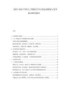 2025-2030中國人工智能芯片行業技術路線與競爭格局研究報告