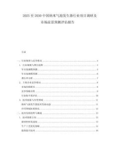 2025至2030中國納米氣泡發生器行業項目調研及市場前景預測評估報告