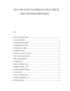 2025-2030光伏硅片技術(shù)路線對(duì)比分析及產(chǎn)能擴(kuò)張規(guī)劃與供應(yīng)鏈優(yōu)化策略咨詢報(bào)告