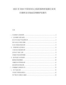 2025至2030中國房間壓力監(jiān)控器和控制器行業(yè)項(xiàng)目調(diào)研及市場前景預(yù)測評(píng)估報(bào)告