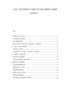 2025-2030壁掛爐行業(yè)碳中和目標(biāo)實施路徑與減排技術(shù)報告