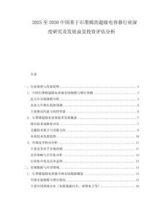 2025至2030中國基于石墨烯的超級電容器行業(yè)深度研究及發(fā)展前景投資評估分析