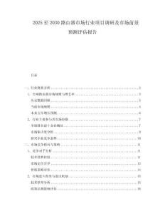 2025至2030路由器市場行業項目調研及市場前景預測評估報告
