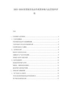 2025-2030輕型商用電動(dòng)車政策補(bǔ)貼與運(yùn)營(yíng)效率評(píng)估