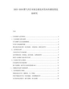 2025-2030燃氣具行業展會新技術發布傳播效果追蹤研究