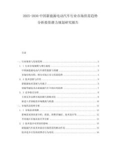 2025-2030中國新能源電動汽車行業市場供需趨勢分析投資潛力規劃研究報告