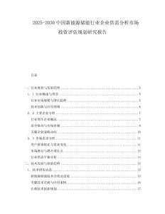 2025-2030中國新能源儲能行業企業供需分析市場投資評估規劃研究報告