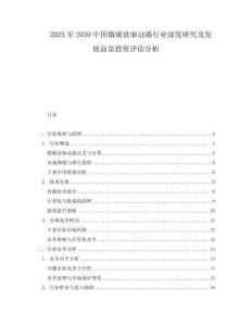 2025至2030中國微硬盤驅動器行業深度研究及發展前景投資評估分析