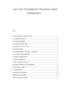 2025-2030中國太陽能光伏產業技術發展與市場競爭策略研究報告