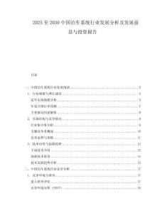 2025至2030中國(guó)泊車系統(tǒng)行業(yè)發(fā)展分析及發(fā)展前景與投資報(bào)告