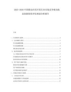 2025-2030中國移動應用開發行業市場競爭格局收益創新投資評估規劃分析報告