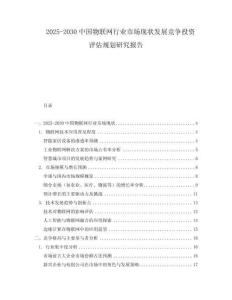 2025-2030中國物聯網行業市場現狀發展競爭投資評估規劃研究報告