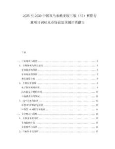 2025至2030中國雙馬來酰亞胺三嗪（BT）樹脂行業(yè)項目調(diào)研及市場前景預(yù)測評估報告