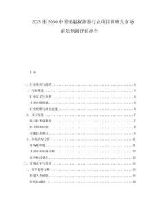 2025至2030中國輻射探測器行業項目調研及市場前景預測評估報告