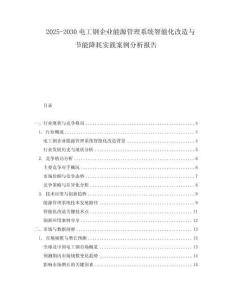 2025-2030電工鋼企業能源管理系統智能化改造與節能降耗實踐案例分析報告