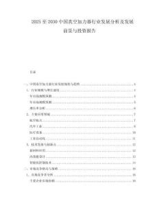2025至2030中國真空加力器行業發展分析及發展前景與投資報告