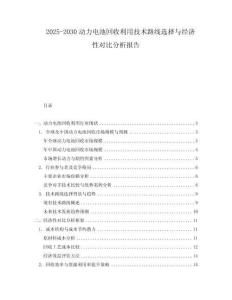 2025-2030動力電池回收利用技術路線選擇與經濟性對比分析報告