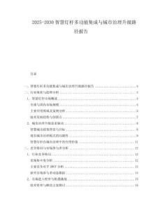 2025-2030智慧燈桿多功能集成與城市治理升級路徑報告