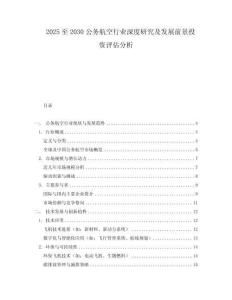 2025至2030公務(wù)航空行業(yè)深度研究及發(fā)展前景投資評估分析