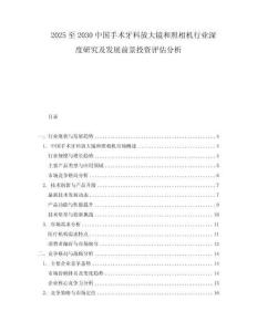 2025至2030中國手術牙科放大鏡和照相機行業深度研究及發展前景投資評估分析