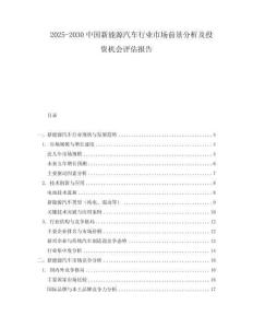 2025-2030中國新能源汽車行業市場前景分析及投資機會評估報告