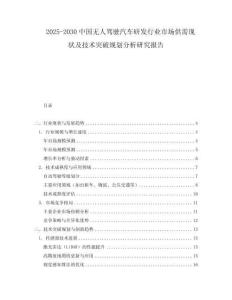 2025-2030中國無人駕駛汽車研發行業市場供需現狀及技術突破規劃分析研究報告