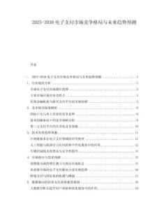 2025-2030電子支付市場競爭格局與未來趨勢預測