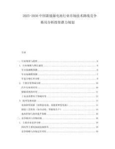 2025-2030中國新能源電池行業市場技術路線競爭格局分析投資潛力規劃