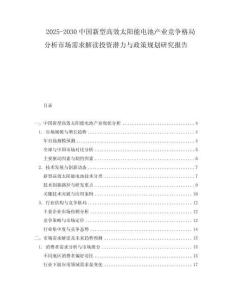 2025-2030中國新型高效太陽能電池產業競爭格局分析市場需求解讀投資潛力與政策規劃研究報告