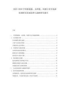 2025-2030中國新能源、太陽能、風能行業市場深度調研及發展趨勢與戰略研究報告