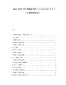 2025-2030中國新能源光伏產業市場格局分析及行業升級規劃報告