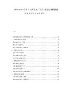 2025-2030中國新能源電池行業市場現狀分析投資機遇規劃發展研究報告