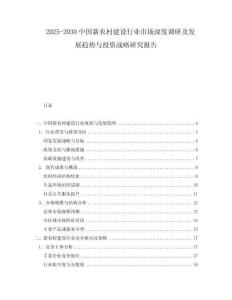 2025-2030中國新農村建設行業市場深度調研及發展趨勢與投資戰略研究報告